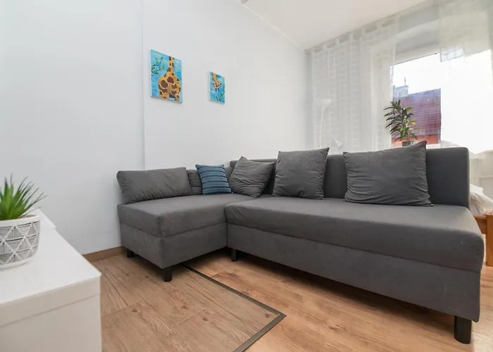 Modrzejewska * Gliwice