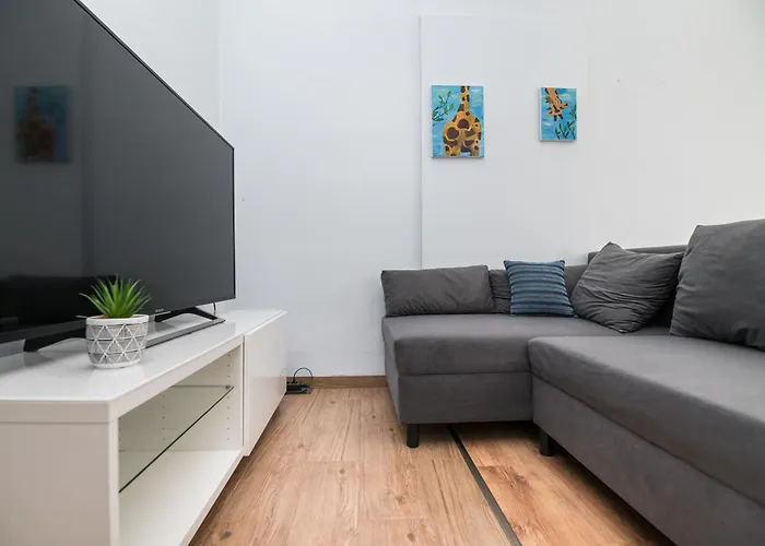 Modrzejewska Apartamento