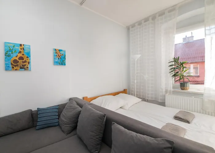 Modrzejewska Apartamento